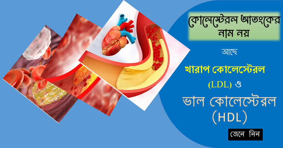 Good cholesterol vs bad cholesterol